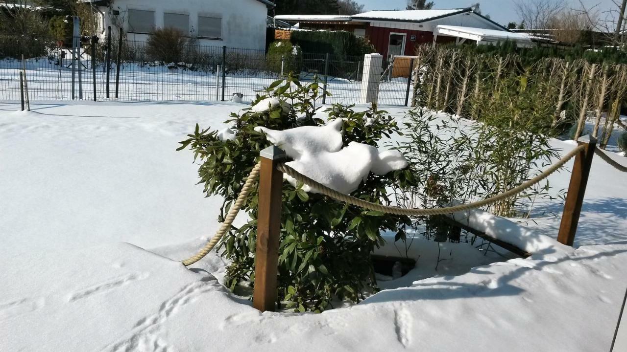Ferienhaus Chrissy Loissin 외부 사진